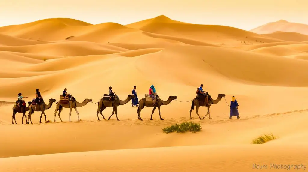 Camel Trekking in Morocco: An Unforgettable Sahara Experience in Merzouga