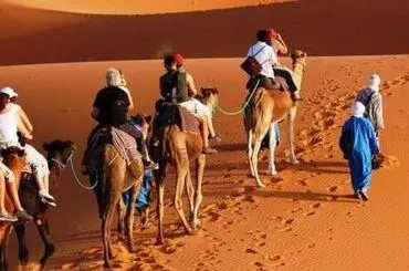 camel trekking-kalimba camp