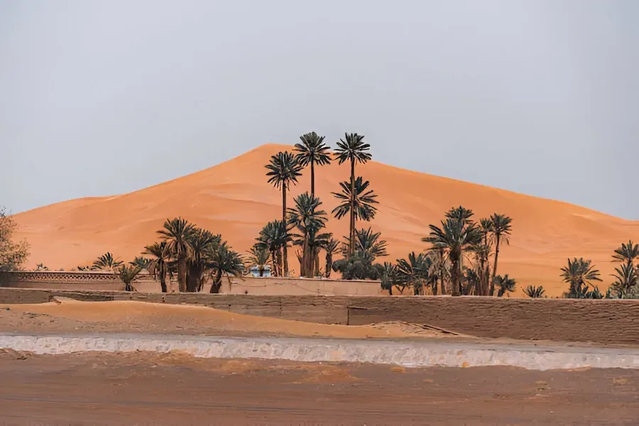 merzouga desert