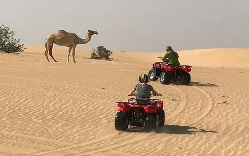 Quad Biking Desert Morocco: The Ultimate Adventure in the Dunes of Merzouga